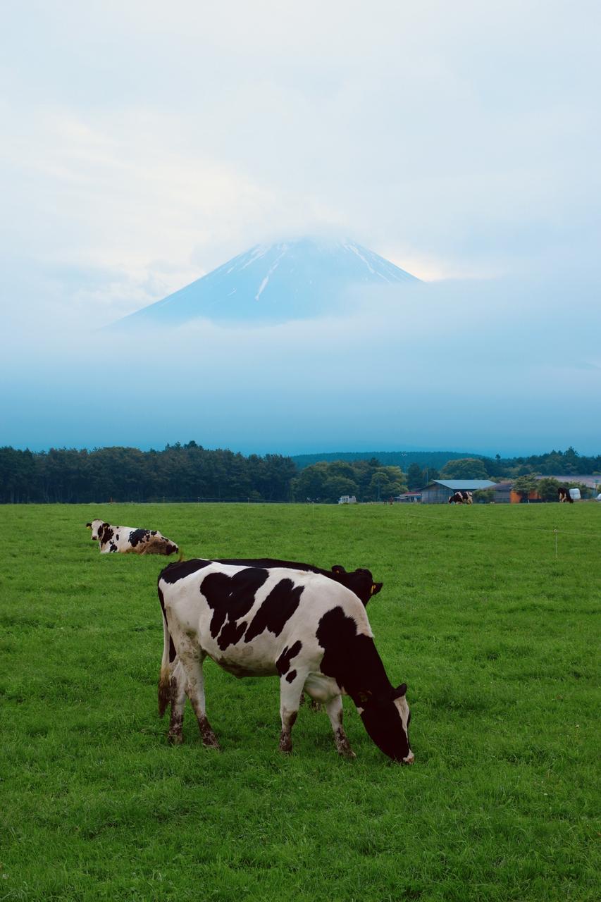 富士山