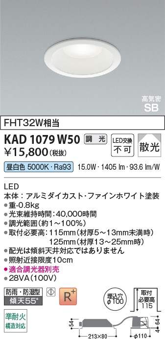 φ100